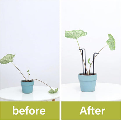 10 Pack Indoor Plant Support for Monstera Trellis Stakes and Stem Holder - Perfect for Small Indoor Plants, Desktop Gardens & Flower Shelf Use, Easy to Set Up and Efficient Support