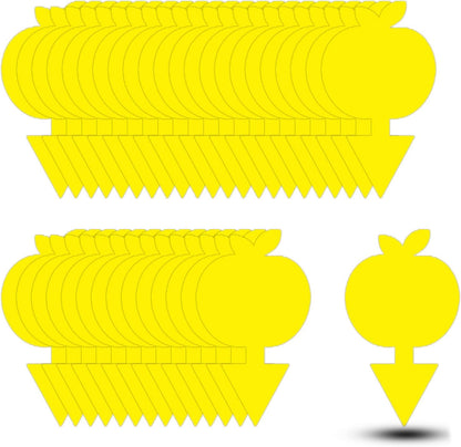 Fruit Fly Traps Fungus Gnat Traps Yellow Sticky Bug Traps 36 Pack No Harm and Odorless for Indoor Outdoor Use Protect The Plant