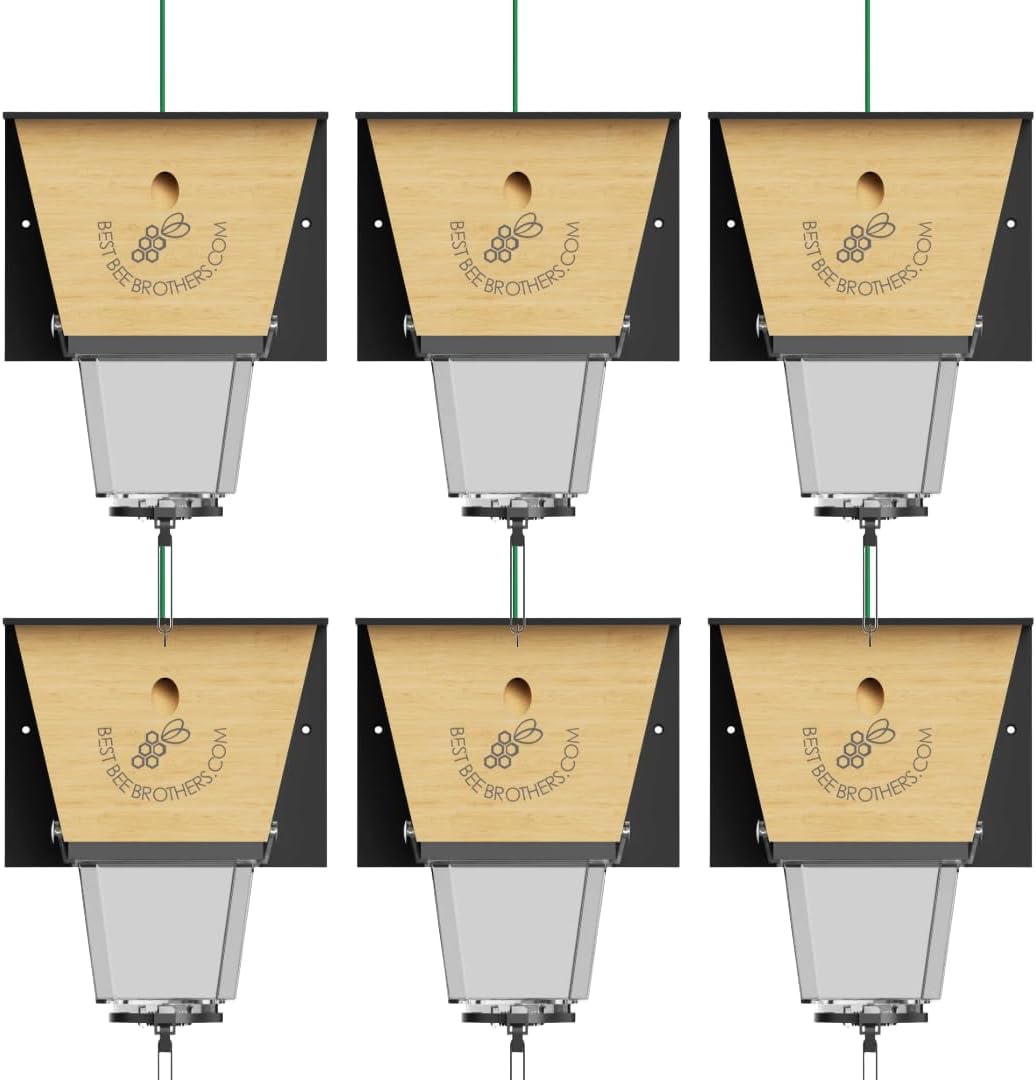 Best Bee Brothers Ultimate Pro Carpenter Bee Trap for Outside with Extra-Large, Clear External Receptacle, Internal Bee Vault & Spring-Loaded Door, 4.2” D x 5.8” W x 7.5” H (2 Pack)