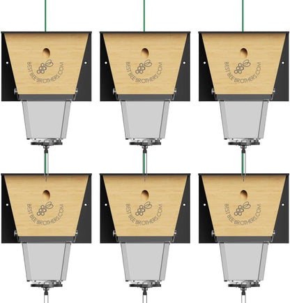 Best Bee Brothers Ultimate Pro Carpenter Bee Trap for Outside with Extra-Large, Clear External Receptacle, Internal Bee Vault & Spring-Loaded Door, 4.2” D x 5.8” W x 7.5” H (2 Pack)