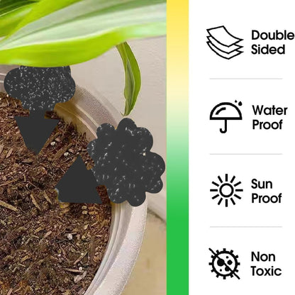 58 Pack Gnat Killer Sticky Traps for Plants - Green Fungus Gnat Sticky Trap for Indoor Houseplants, Fruit Fly, Whitefly, Aphid - Family Friendly Design, Flower/Cloud or Sunflower/Butterfly