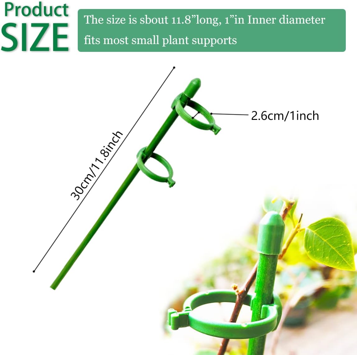Belit 8 Pack Small Plant Support Plant Stakes, Garden Flowers Green Plant Support Ring, Planter Support Ring for Schlumbergera, Clivia, Vegetables, 5.5" Wide x 9.8" High