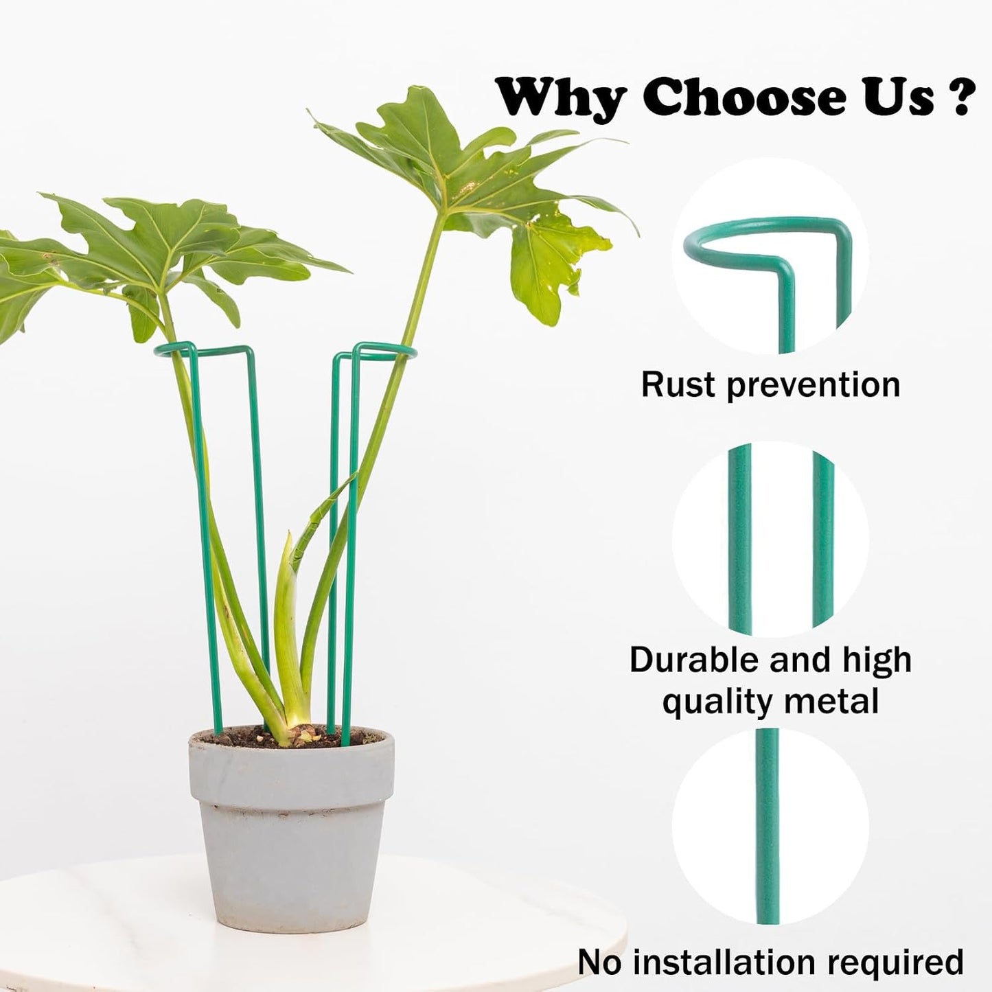 10 Pack Indoor Plant Support for Monstera Trellis Stakes and Stem Holder - Perfect for Small Indoor Plants, Desktop Gardens & Flower Shelf Use, Easy to Set Up and Efficient Support