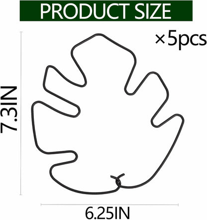 Yohsnor Monstera Plant Stem Support System - 5 Piece Set (5.5x4.7in) | Durable Plant Support Stakes for Climbing Plants & Fishbone Cactus | Ideal Leaf Stabilizer for Indoor Plants & Monstera Care