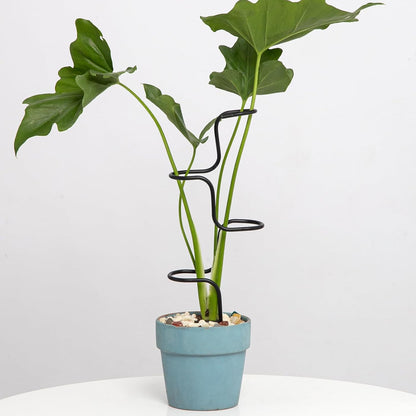 3PCS Indoor Plant Support – Durable Metal Garden Stakes for Monstera, Flowers & Herbs – 12.6 Inch Trellis for Indoor & Outdoor Plants, Easy-to-Use Support Structures
