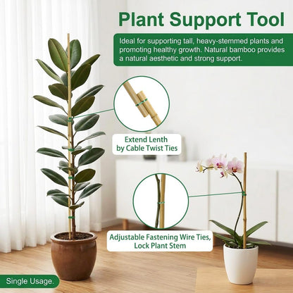 Plant Stakes Natural Bamboo Sticks - 30 Pcs Bamboo Garden Stakes for Plants 4.8 FT Plant Support Sticks with Twist Ties for Tomatoes Beans Flowers Indoor Outdoor Potted Climbing Plants
