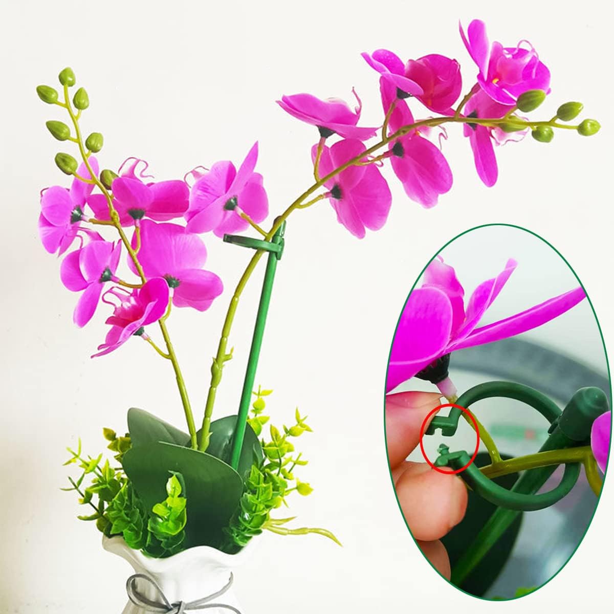 Belit 8 Pack Small Plant Support Plant Stakes, Garden Flowers Green Plant Support Ring, Planter Support Ring for Schlumbergera, Clivia, Vegetables, 5.5" Wide x 9.8" High