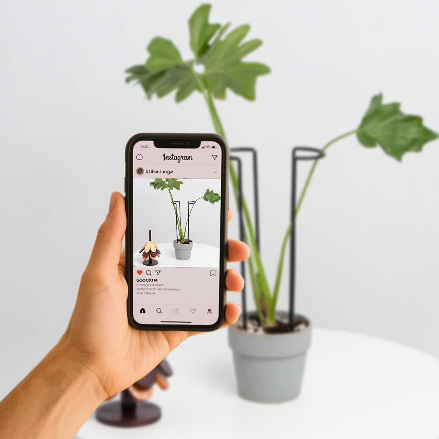 10 Pack Indoor Plant Support for Monstera Trellis Stakes and Stem Holder - Perfect for Small Indoor Plants, Desktop Gardens & Flower Shelf Use, Easy to Set Up and Efficient Support