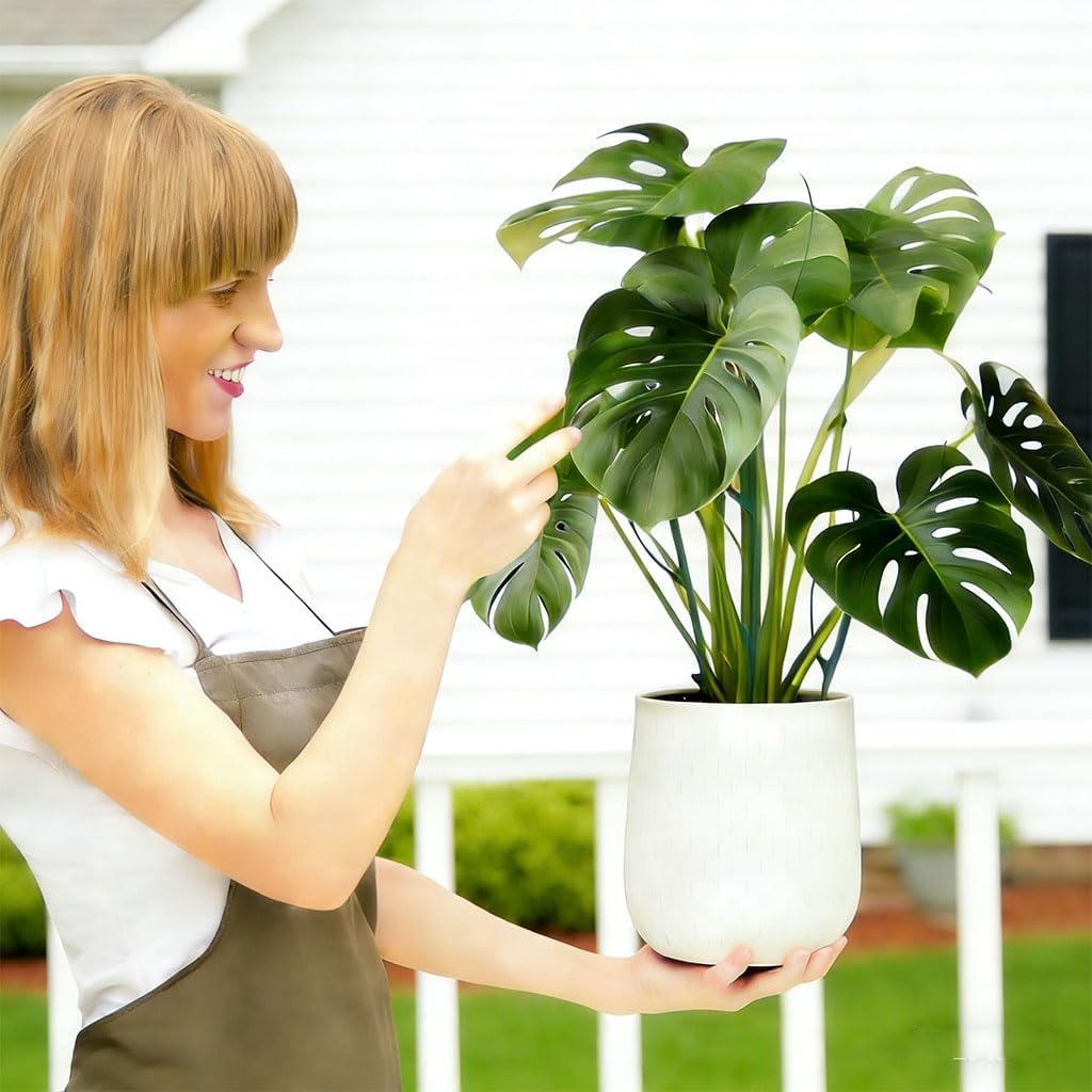 Stackable Plant Support Pothos Climber Support Vine Plant Sticks Stakes with Plant Clips and Plant Ties for Indoor Outdoor Vine Orchid, 5 Pack