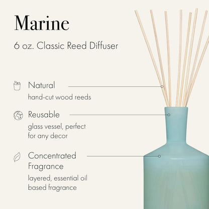 LAFCO New York Classic Reed Diffuser, Sea & Dune - 6 oz - Up to 3 Months Fragrance Life - Reusable Glass Vessel - Natural Wood Reeds - Made in The USA