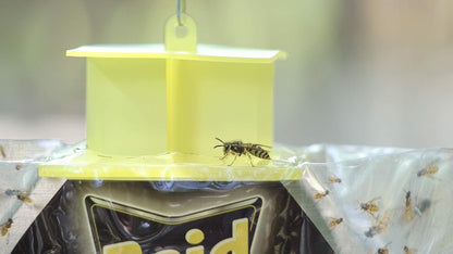 Raid Yellow Jacket, Wasp & Hornet Trap, 6 Pack, Disposable, Convenient, Hanging Fly Trap Bags with Food-Based Lure, No-Spray Outdoor Fly Traps Suitable Defense for Yards, Patios & Campsites