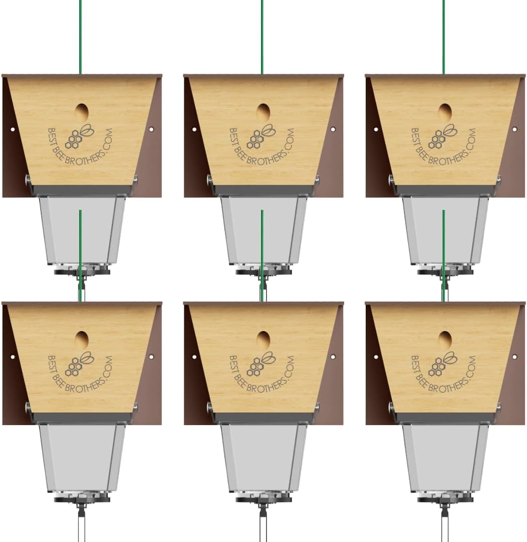 Best Bee Brothers Ultimate Pro Carpenter Bee Trap for Outside with Extra-Large, Clear External Receptacle, Internal Bee Vault & Spring-Loaded Door, 4.2” D x 5.8” W x 7.5” H (2 Pack)