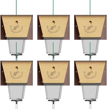 Best Bee Brothers Ultimate Pro Carpenter Bee Trap for Outside with Extra-Large, Clear External Receptacle, Internal Bee Vault & Spring-Loaded Door, 4.2” D x 5.8” W x 7.5” H (2 Pack)