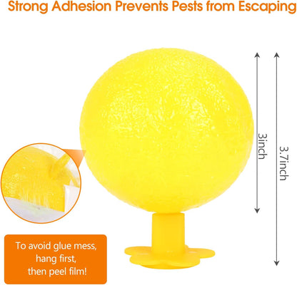 Original Fruit Fly Trap Ball with Light, 6pcs Hanging Fungus Gnat Killer Catcher, Adhesive Sticky Glue Catching Ball Fly Gnat Wasp Hornet Bugs Flying Insects Trap Ball for Indoor Outdoor Plant