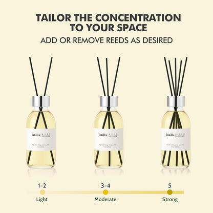Clesh Reed Diffuser Set, 6.7 oz Eucalyptus Scented Diffuser with Sticks, Home Fragrance Reed Diffuser for Bathroom Shelf Decor