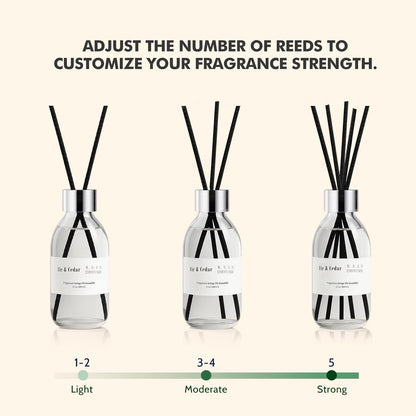 Clesh Reed Diffuser Set, 6.7 oz Eucalyptus Scented Diffuser with Sticks, Home Fragrance Reed Diffuser for Bathroom Shelf Decor