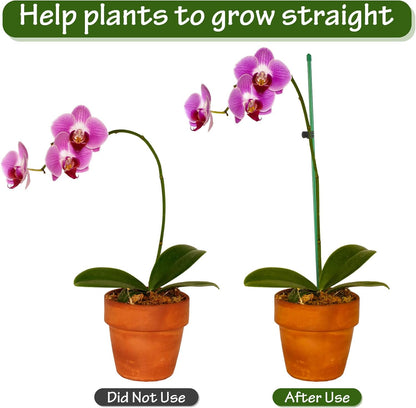 76pcs Plant Stakes for Indoor Plants, 25 Pack 16 inch Plant Support Stakes | Fiberglass Garden Plant Sticks Support with Rings Clips &Tie for Indoor and Outdoor Plants Flowers Tomatoes Orchid