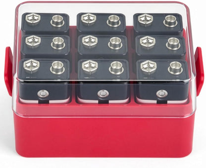 ALCYON Battery Organizer Storage Case, Battery Vault Box Container for 48pcs AA Batteries, Plastic Clear Protective Battery Holder for Travelling/Home/Office (Black, Large)