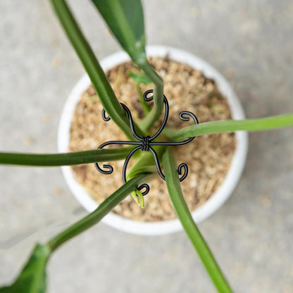 Yohsnor Monstera Plant Stem Support System - 5 Piece Set (5.5x4.7in) | Durable Plant Support Stakes for Climbing Plants & Fishbone Cactus | Ideal Leaf Stabilizer for Indoor Plants & Monstera Care