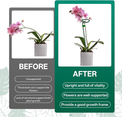 6 Pack 24 in Extendable Plant Support Stakes for Outdoor Plants and Flowers | Adjustable 12 to 24 Inch garden sticks for indoor outdoor, fits orchid, tomato, vegetables and monstera