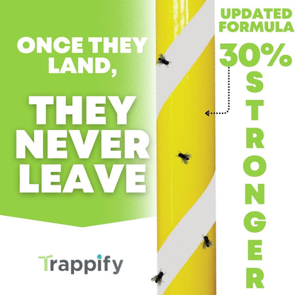 Trappify Glow-in-The-Dark Fly Trap for Indoor & Outdoor Fly Sticks (2 Pack) | Yellow Adhesive Fly Sticks, Glow-In-The-Dark, Water-Resistant Fruit Fly Traps for Indoors and Outdoor Use