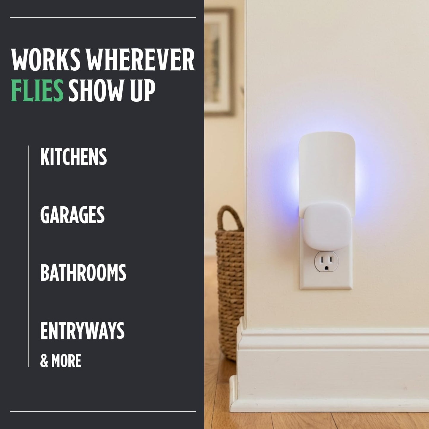 Grandpa Gus’s Indoor Fly Trap Plug-In - UV Light Insect Catcher for Flies, Gnats, Fruit Flies, Mosquitoes & Moths - No Insecticides, Sticky Glue Trap for Kitchen, Garage, Includes 3 Refill Glue Boards