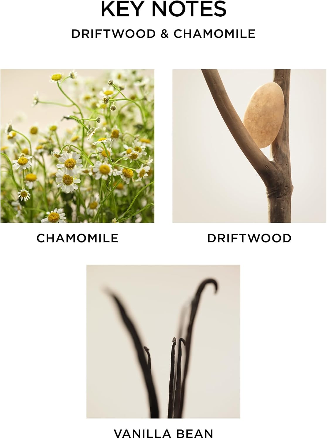 NEST New York Reed Diffuser, Wild Mint & Eucalyptus - 5.9 fl oz - Fragrance for Up to 90 Days - Reusable, Refillable Glass Holder - Includes 8 All-Natural Reed Sticks - Flame Free