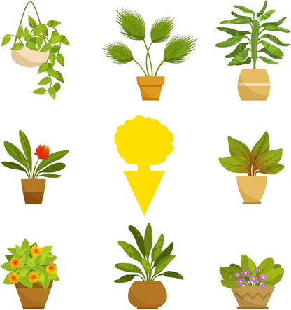 Yellow Sticky Fruit Fly Trap 54 Pack, Gnat Traps for Indoor House Plants | Catches Fungus Gnats, Fruit Fly, Whitefly, Aphid, Leaf Miner, No Harm & Odorless, Safe For Indoor Garden & Outdoor Plant Use