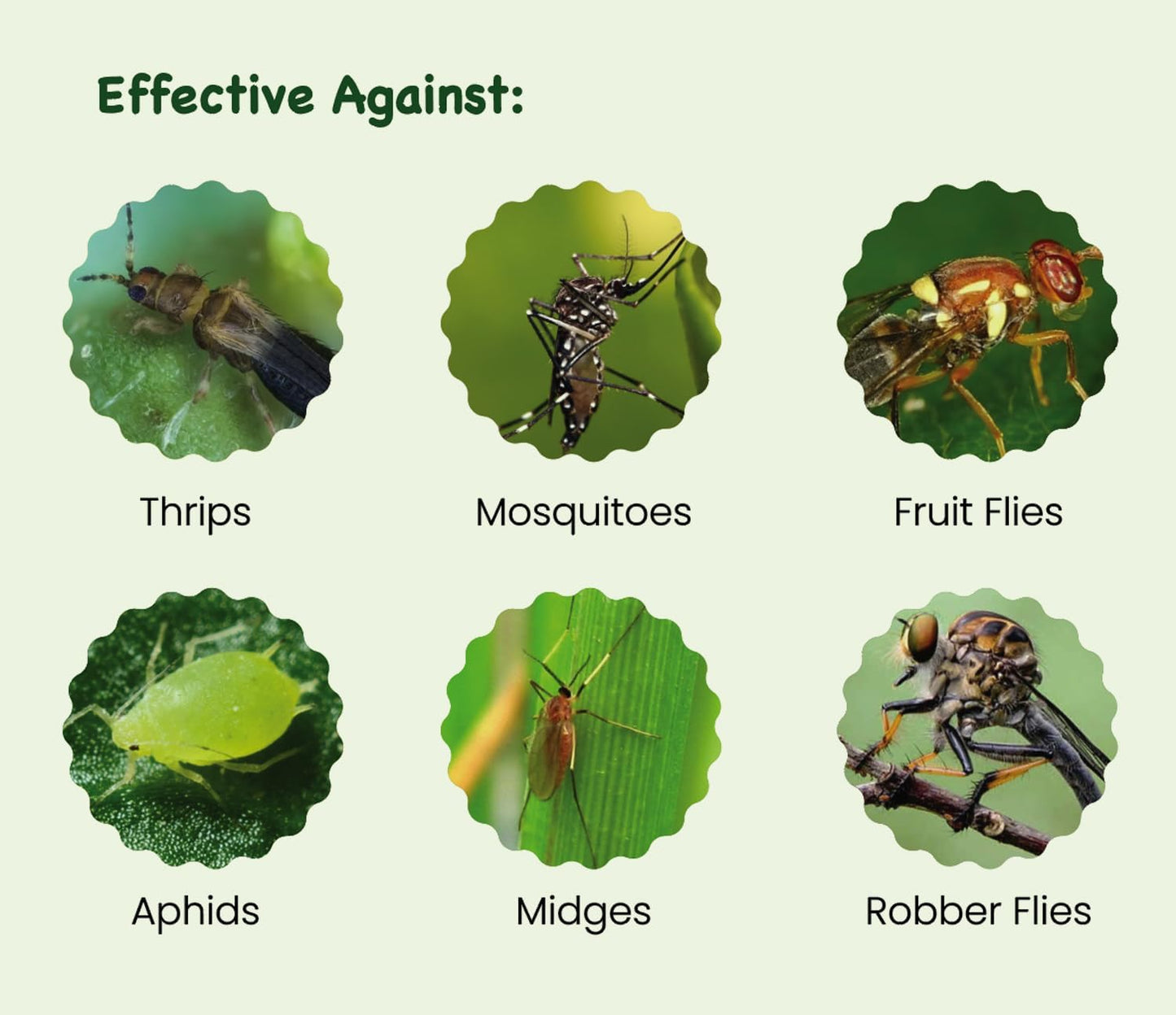 Sticky Insect Traps 40 Pcs - Gnats Fruit Fly Traps for Indoors House - Yellow Double-Sided Sticky Insect Catchers Fungus, Fruit Flies, Whiteflies, Aphids, Leaf Miners