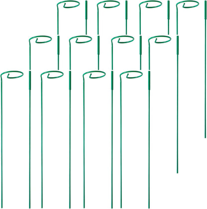 PFNRTH 4 Pack Plant Stakes,Plant Support Stakes for Two Sizes(16 or 32 Inches),Plant Stakes for Outdoor Plants,Garden Flower,Tomato(Green)