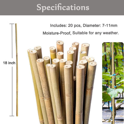 Yowlieu 20 Pcs Natural Bamboo Stakes + 1 Roll Garden Ties, 18 Inches Bamboo Sticks Gardening Plant Support Stakes for Indoor Plants, Tomato, Potted Plants