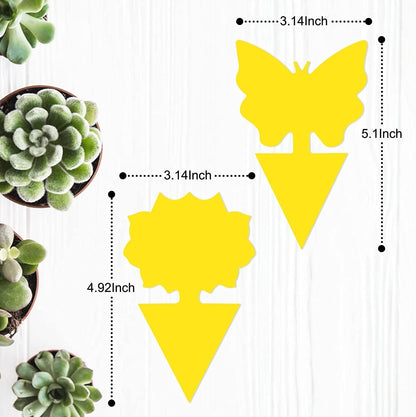 36 Pack Fruit Fly Traps for Indoors, Gnat Traps for House Indoor, Sticky Traps Fungus Gnats Killer for Mosquito and Flying Insects, Bug Pest Insect Catcher Killer for Houseplant