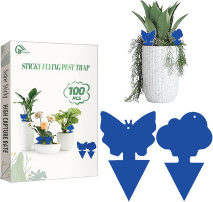 36 Pcs Sticky Traps for Fungus Gnat, Fruit Fly, Whitefly, Yellow | Indoor/Outdoor Use, For Plants & Kitchen, High-End Glue, Insect Catcher