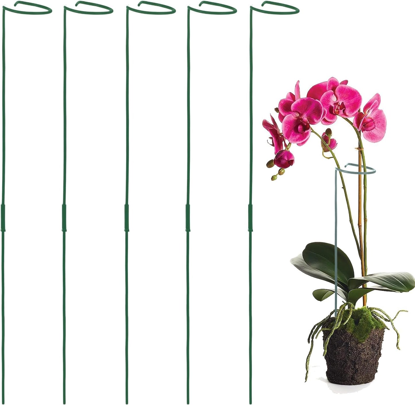 Avxdbr 5Pcs Plant Stakes for Flowers 23.6 Inch Or 11.8 Inch Metal Plant Cage Support Rings Garden Single Stem Stake with Adjustable Height for Garden Support Indoor Outdoor Plants