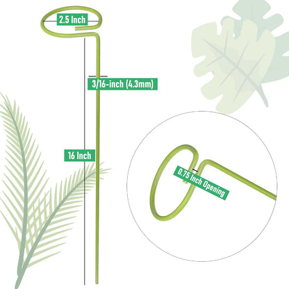6-Pack Plant Stakes for Indoor Plants, 16 Inch Heavy Duty Adjustable Support Stakes & Tall Sticks for Monstera, Amaryllis, Orchid, Snake Plant, Single Stem, Indoor Outdoor