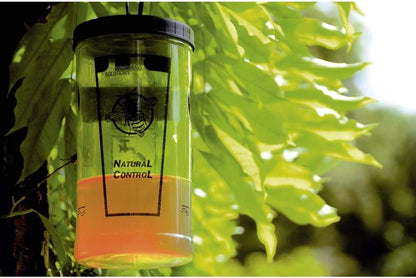 SWISSINNO Wasp Trap Control Secret - Reusable Outdoor Wasp Catcher for Gardens, Patios and Camping - Easy to Use and Clean - Includes Hanging Cord - 1 Trap