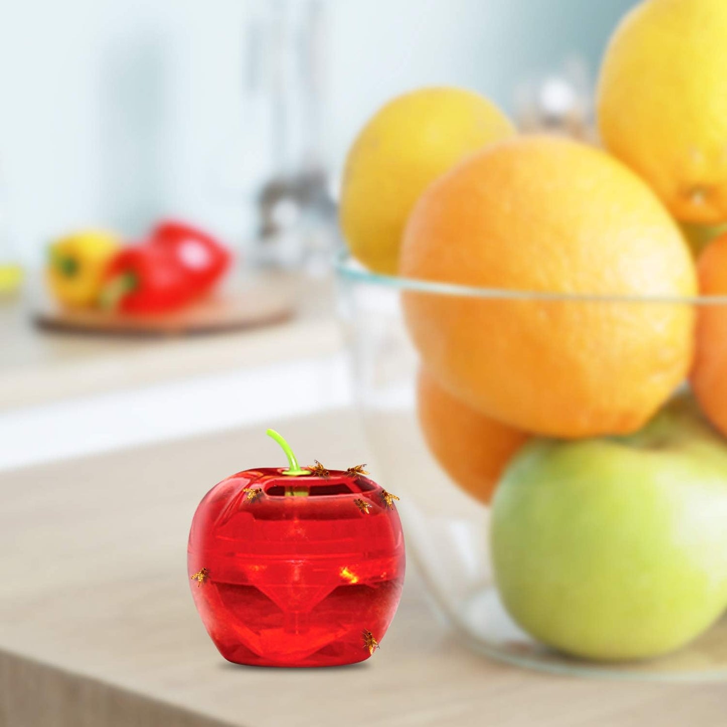 Fruit Fly Traps for Indoors by Raid | 2 Lures + 2 Refills | Effective Fruit Fly Killer & Gnat Traps for House Indoor Use | Easy to Use & Safe Food-Based Lure Fly Catcher