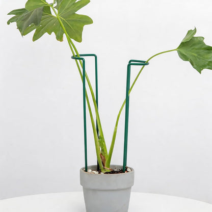 10 Pack Indoor Plant Support for Monstera Trellis Stakes and Stem Holder - Perfect for Small Indoor Plants, Desktop Gardens & Flower Shelf Use, Easy to Set Up and Efficient Support