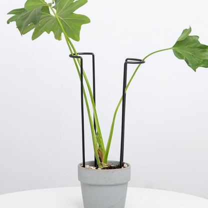 10 Pack Indoor Plant Support for Monstera Trellis Stakes and Stem Holder - Perfect for Small Indoor Plants, Desktop Gardens & Flower Shelf Use, Easy to Set Up and Efficient Support