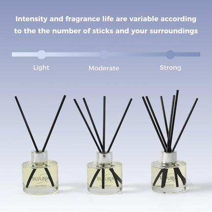 Reed Diffuser Set,Bamboo White Tea Scented Oil Diffuser with 12 Reed Sticks,3.38 fl.oz(100ml x2),Long-Lasting Home Fragrance for Living Room,Bedroom,Bathroom
