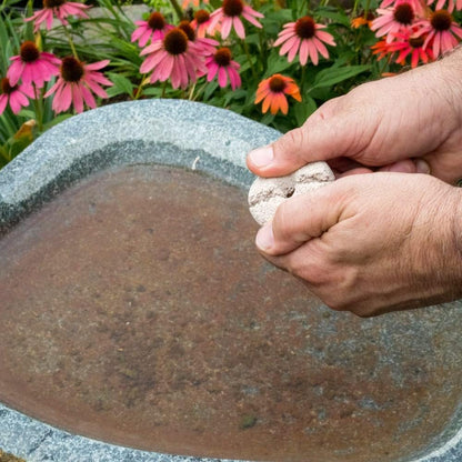 Summit Mosquito Dunks Slow Release Tablets, 40 Count Total – Outdoor Water Treatment Discs for Bird Baths, Ponds, Rain Barrels, and Standing Water, Long Lasting Water Treatment Solution