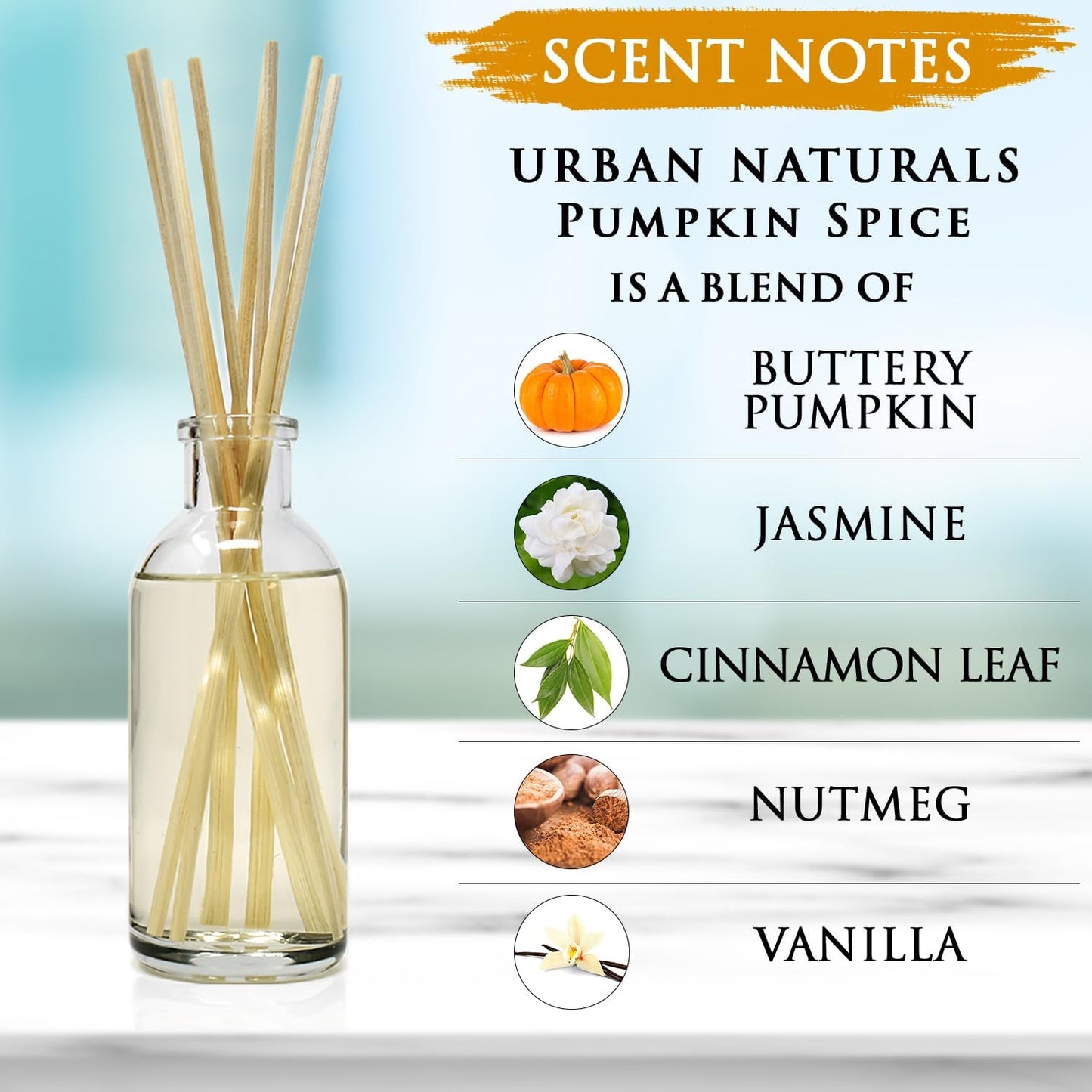 Urban Naturals Smoked Vanilla Reed Diffuser Set with Vanilla Bean, Sandalwood & Leather | Made in the USA - Colors B