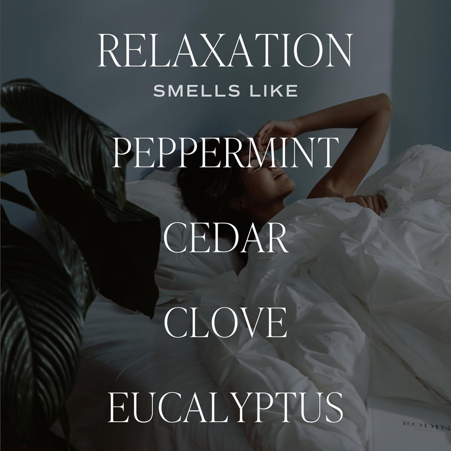 Sweet Water Decor Salt & Sea Reed Diffuser Set - Sea Salt Citrus & Musk Amber Scent Diffuser - Reed Diffusers for Home with Long Lasting Fragrance - Non-Toxic Oil Reed Diffuser - Made in the USA