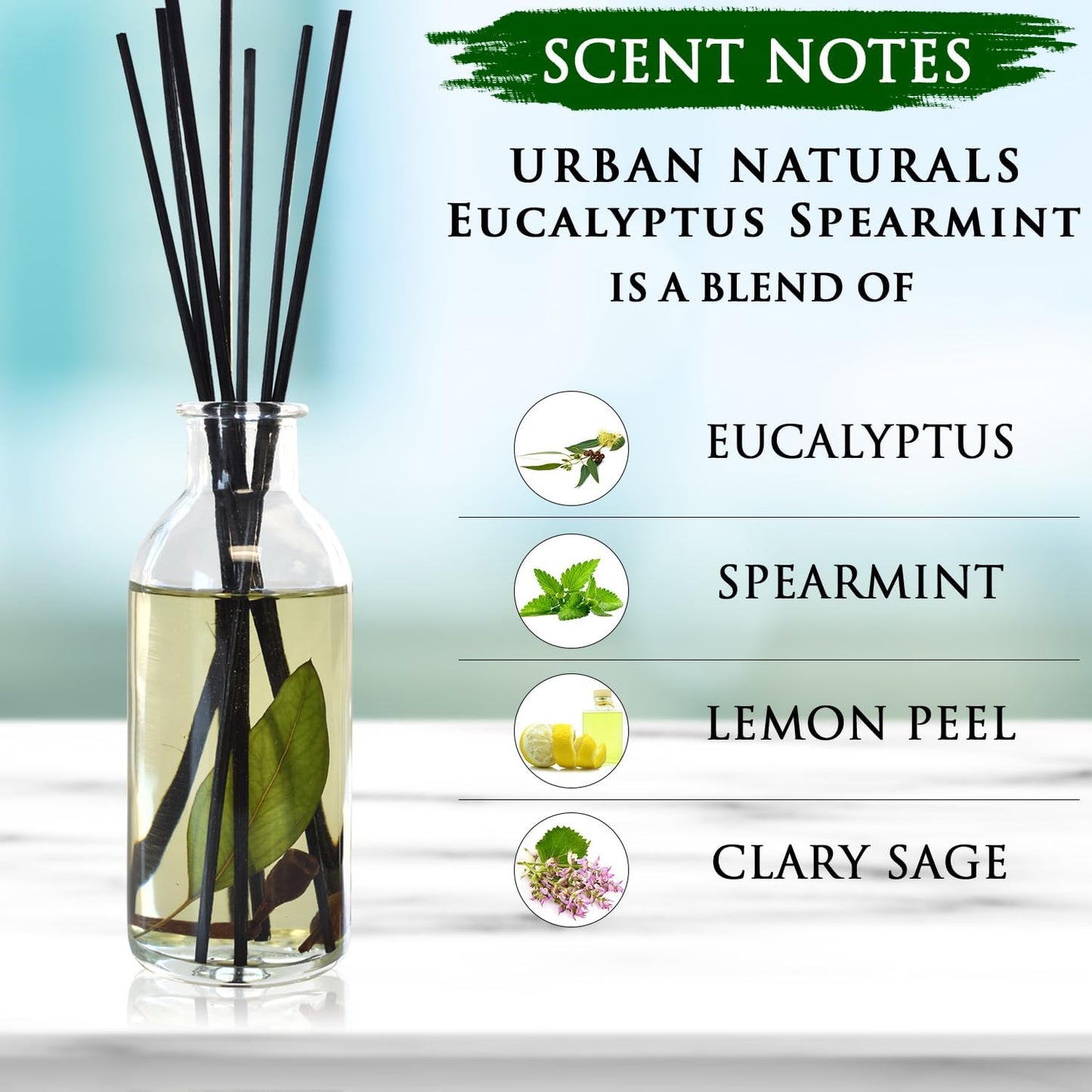 Urban Naturals Smoked Vanilla Reed Diffuser Set with Vanilla Bean, Sandalwood & Leather | Made in the USA - Colors B