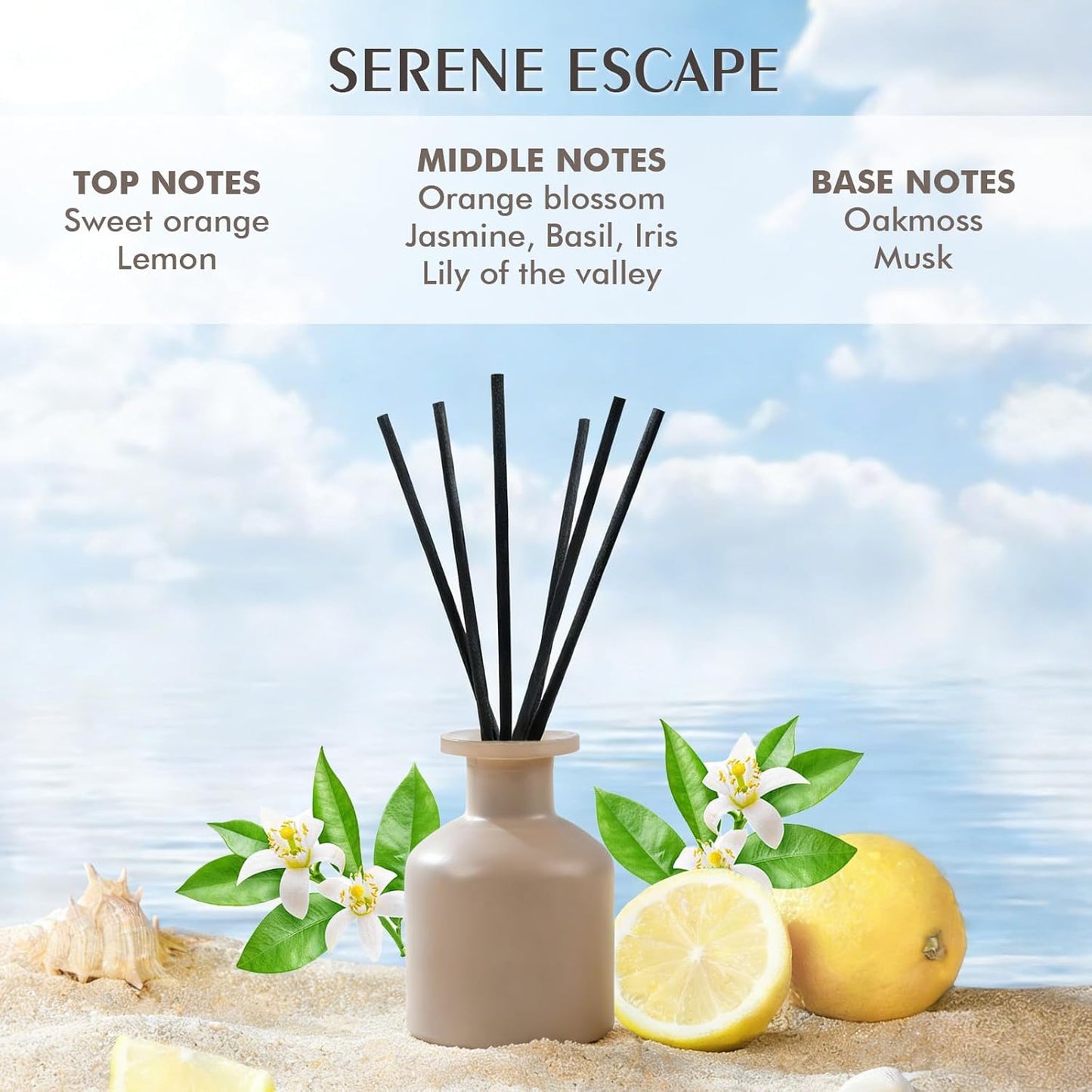 Reed Diffuser Set,Ocean Mist & Sea Salt Fragrance,100ml(3.38 fl.oz) with 6 Reed Sticks,Long-Lasting Oil Diffuser for Home,Office,Bathroom,Flame Free