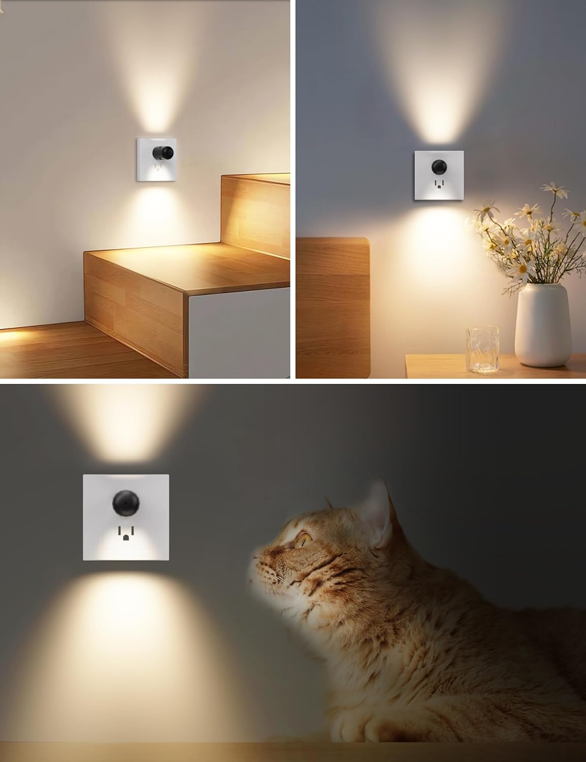 TSEXES Plug-in LED Night Lights,Dusk to Dawn Sensor,2700K,Bedroom, Hallway, Bedroom,Kitchen, Stairways, Non-Dimmable,6 Pack
