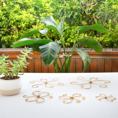 Yohsnor Monstera Plant Stem Support System - 5 Piece Set (5.5x4.7in) | Durable Plant Support Stakes for Climbing Plants & Fishbone Cactus | Ideal Leaf Stabilizer for Indoor Plants & Monstera Care