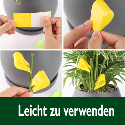 Garsum Fruit Fly Sticky Trap for Indoor and Outdoor, 36 Pack Fungus Gnat Killer for Houseplant,Mosquitos, Flying Insect, White Flies