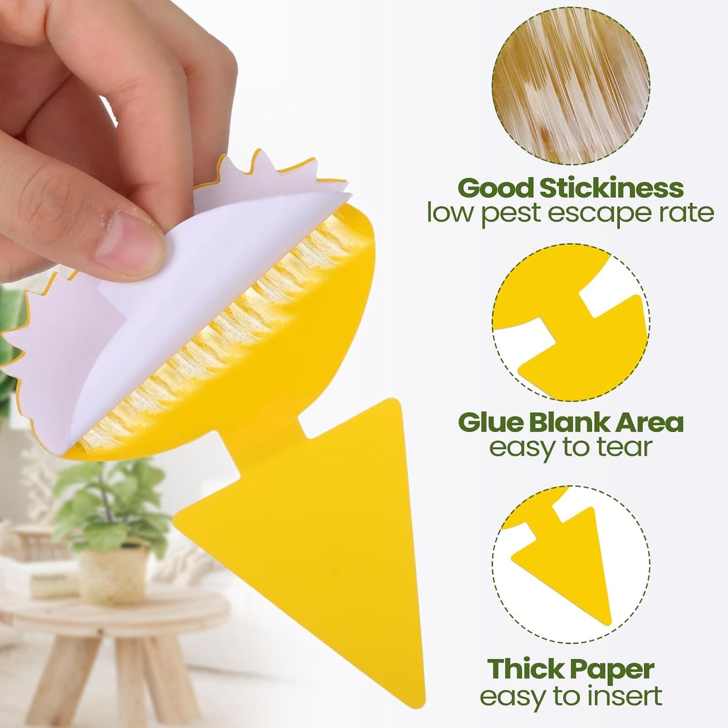 200 Sheets Fruit Fly Sticky Traps for Fruit Fly Gnat Trap for House Indoors Sticky Traps Catcher for Gnats Fungus Gnats Mosquito Catcher for Kitchen Outdoor Plants(Yellow)