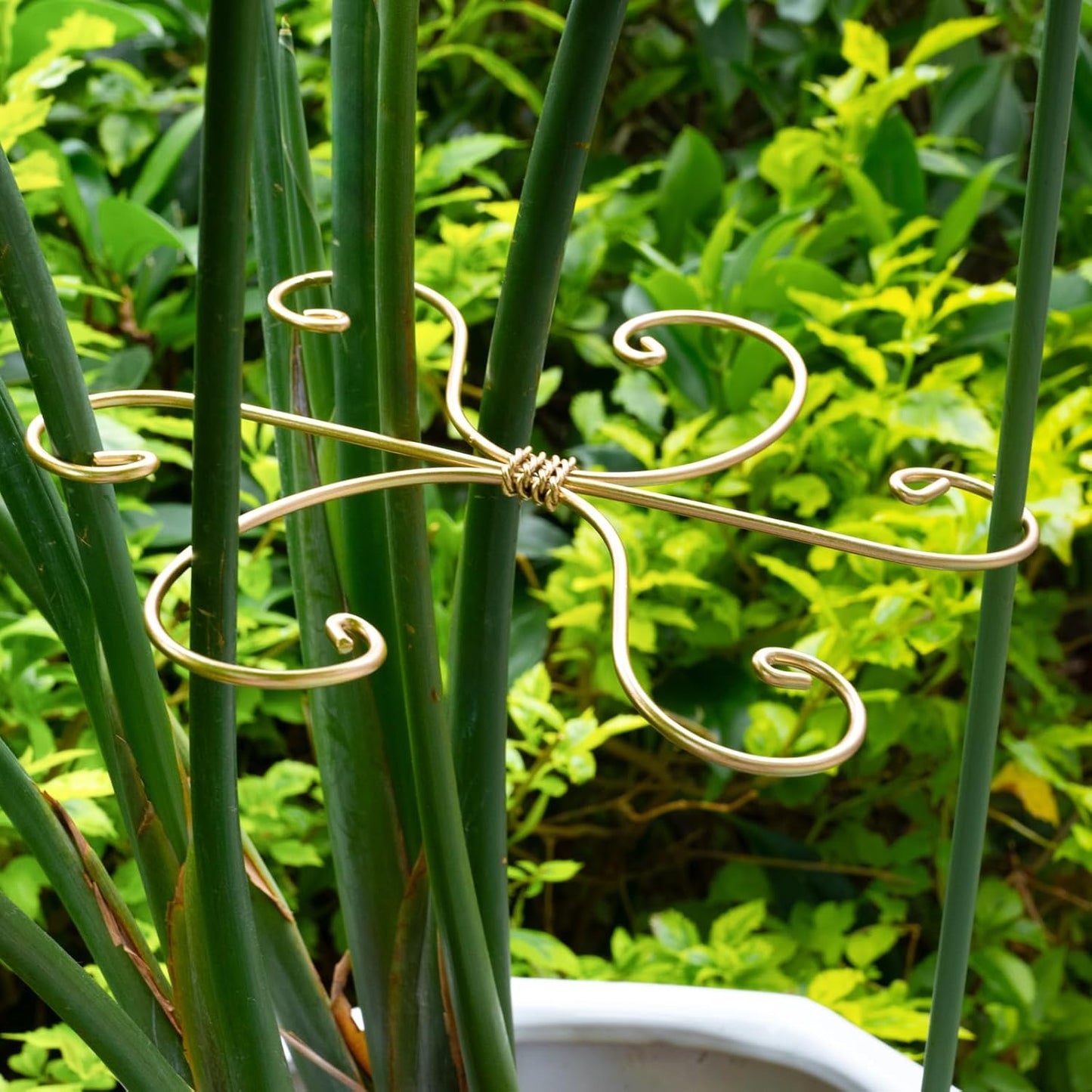 5PCS Monstera Plant Stem Support Stakes - 5.5 * 5.5IN Metal Supports for Monstera and Fishbone Cactus, Sturdy Frame, Easy Installation, Flexible Protection for Healthy Growth Indoors